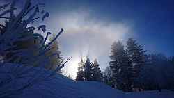 Shinrin Yoku (bain de forêt) et neige