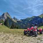 Thollon Quad