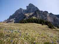Les alpages du Lachat d'en Haut