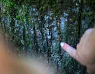 Atelier parent-enfant : Contes magiques et créations nature