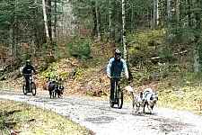 Activités chiens nordiques sur le plateau des Moises