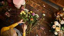 Le jardin de lili rose