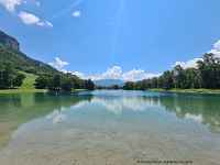 Découverte de la botanique