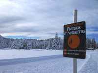 Itinéraire raquettes : La boucle des sapins