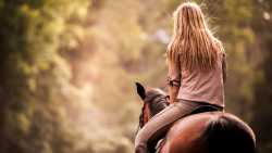 Balade nature - cheval ou poney