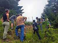 BIODIV'ILETTES - Chantiers de lutte contre les plantes invasives