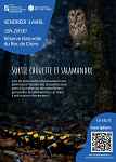 Sortie Chouette et Salamandre