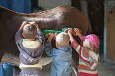 Anniversaire à la ferme de Chosal - "Un après-midi à la Ferme"