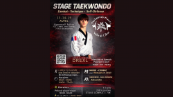 Taekwondo - stage technique / combat / self défense