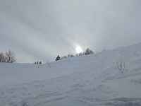 Techniques de survie