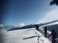 Demi-journée raquettes adulte