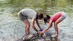 Initiation à l'orpaillage