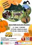 Stage 6/7 ans - 2 j multisports + canirando vacances d'automne