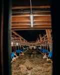Ferme de l'Auboury