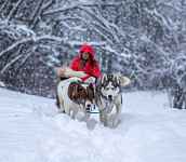 Stage mini-musher - 7h