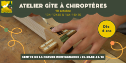 Atelier gîte à chiroptères