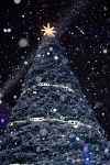 L'Illumination du Sapin