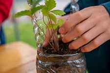 Atelier créatif : Kokedama