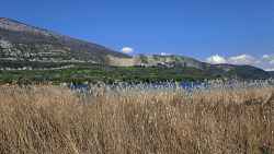 Randonnée accompagnée dans la Réserve Naturelle du Bout du lac