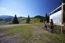 Piste de descente VTT La Marvel